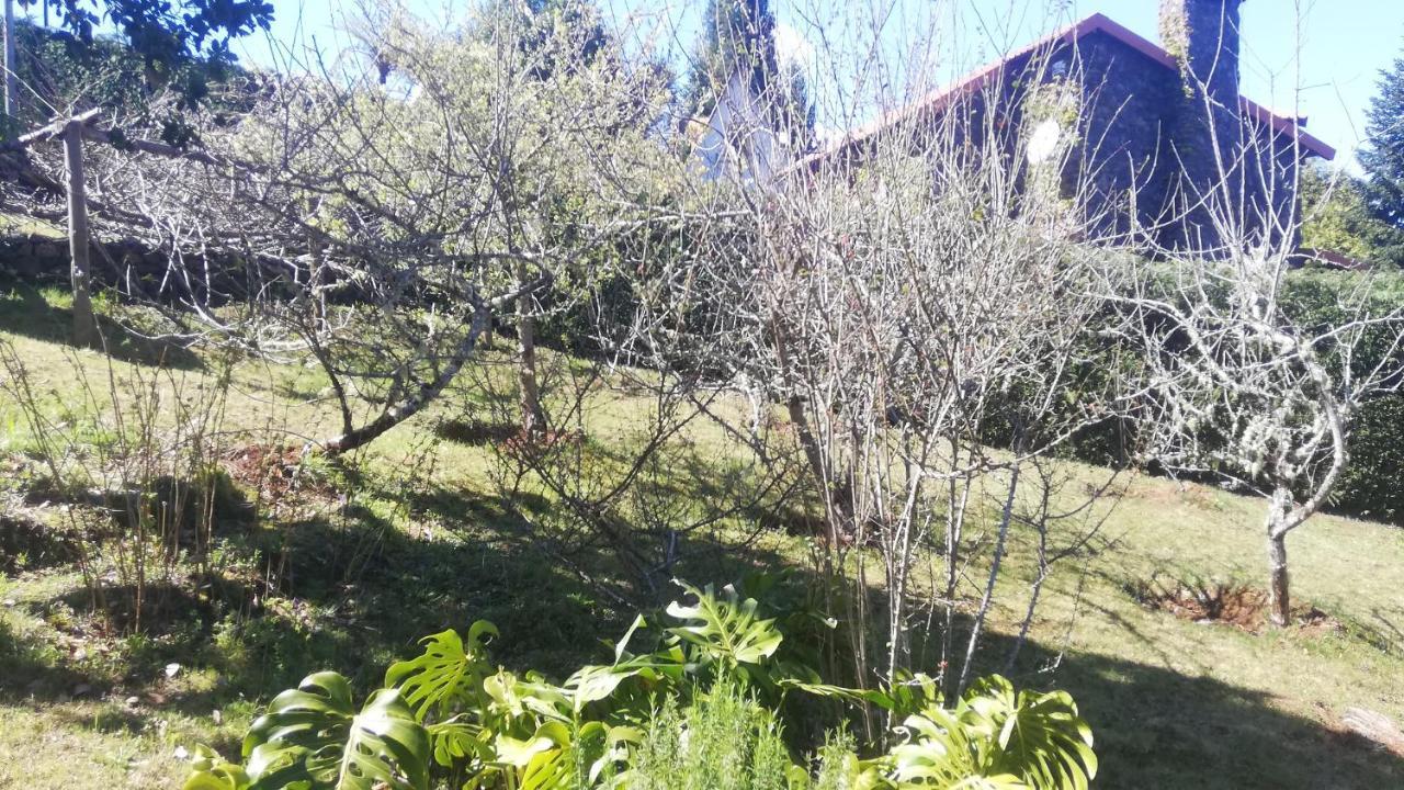 סנטנה Chalet Pico Das Pedras מראה חיצוני תמונה