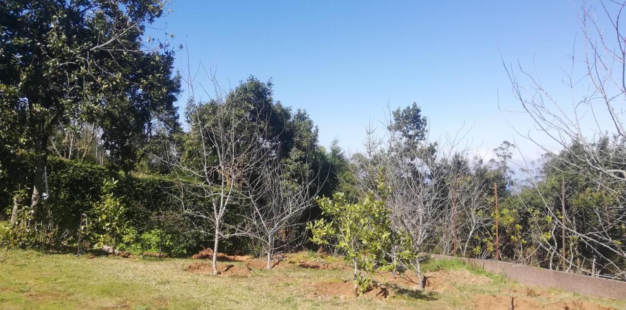 סנטנה Chalet Pico Das Pedras מראה חיצוני תמונה