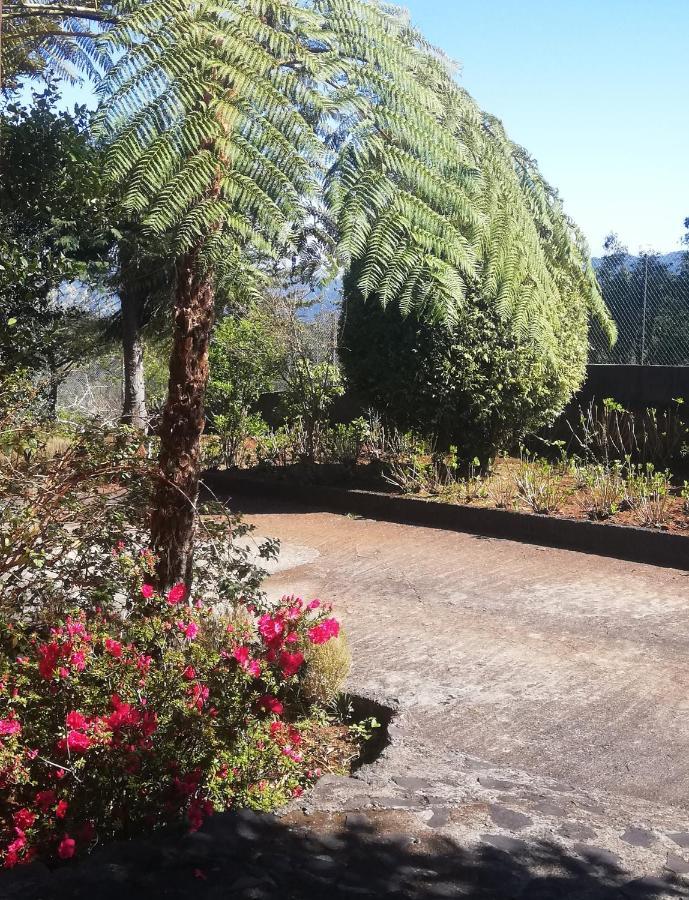 סנטנה Chalet Pico Das Pedras מראה חיצוני תמונה