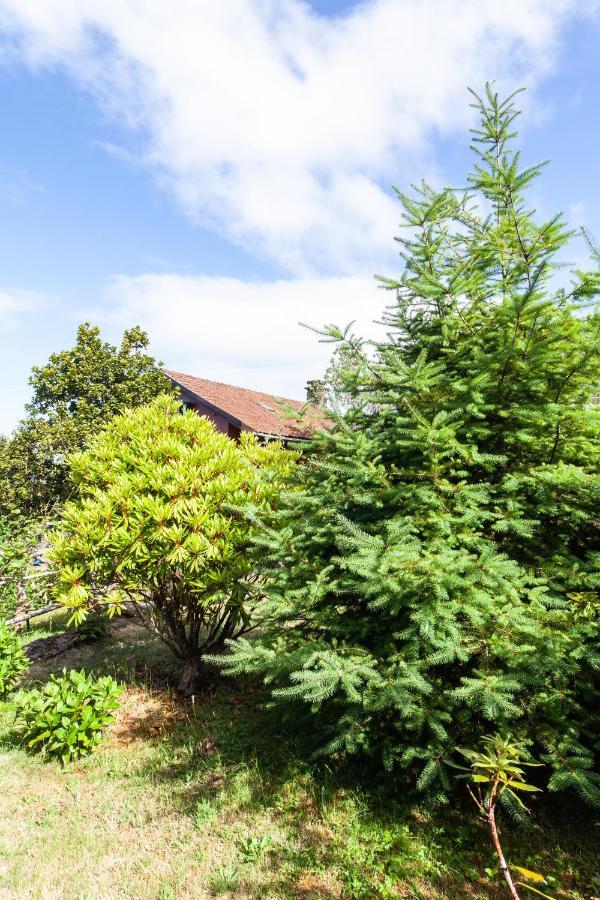 סנטנה Chalet Pico Das Pedras מראה חיצוני תמונה