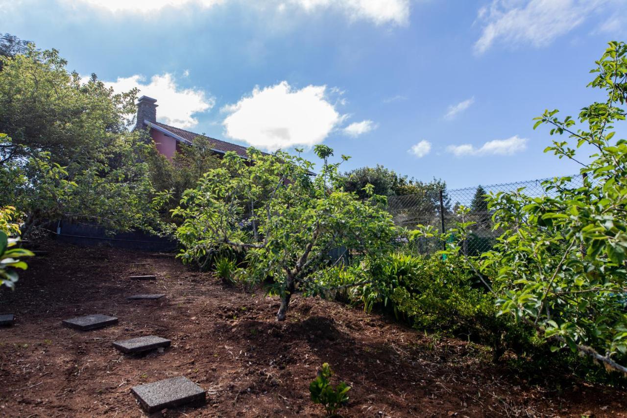 סנטנה Chalet Pico Das Pedras מראה חיצוני תמונה
